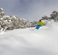 Mt Buller and Mt Stirling Alpine Resort - Accommodation Perth
