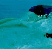 Muse - Accommodation Perth