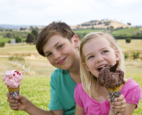 Yarra Valley Chocolaterie & Ice Creamery - Accommodation Perth 6