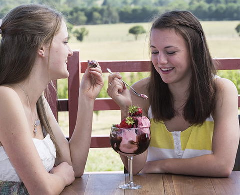 Yarra Valley Chocolaterie & Ice Creamery - Accommodation Perth 8