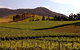 Soumah Of Yarra Valley - thumb 0