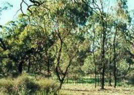 Book Kerang VIC Attractions Accommodation Perth Accommodation Perth