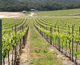 M Chapoutier Australia - Accommodation Perth 0
