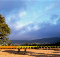 Mount Avoca - Accommodation Perth