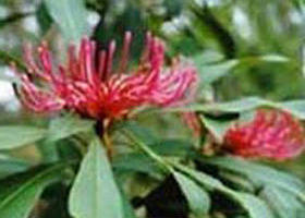 Buldah VIC Perth Resorts