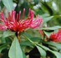 Alfred National Park - Accommodation Perth