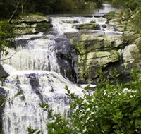 Agnes Falls Scenic Reserve - Accommodation Perth