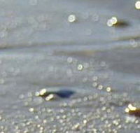 Cape Liptrap Coastal Park - Accommodation Perth