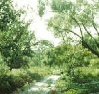 Holey Plains State Park - Accommodation Perth