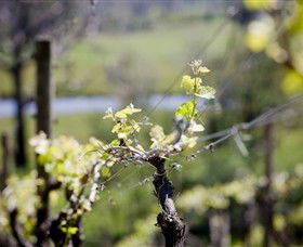 Eldridge Estate Of Red Hill - Accommodation Perth 0