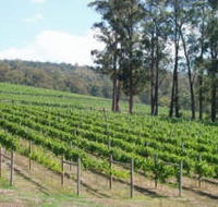 Piedmont Vineyard - Perth Resorts