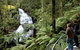 Great Otway National Park - thumb 0