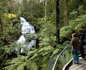 Great Otway National Park - Accommodation Perth 0