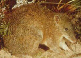 Mornington Peninsula VIC Accommodation Perth