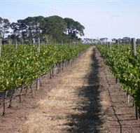 Mount Beckworth Wines - Accommodation Perth