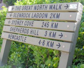 Great North Walk - Accommodation Perth 0
