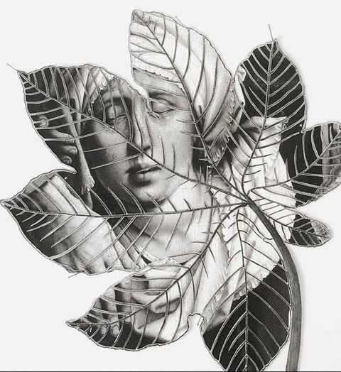 Wollongong Art Gallery - Accommodation Perth 2