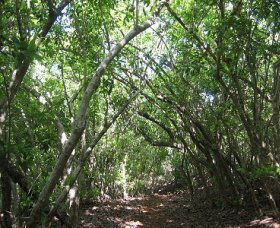Eucalypt Trail - Accommodation Perth 0