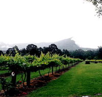 Cambewarra Estate Wines - Accommodation Perth