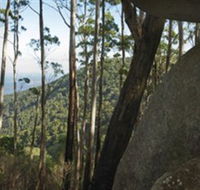 Gulaga National Park - Accommodation Perth