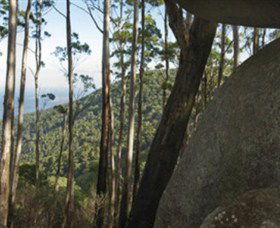 Gulaga National Park - Accommodation Perth 0