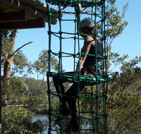 Trees Adventure Shoalhaven - Accommodation Perth