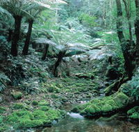 Deua National Park - Accommodation Perth