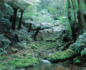 Deua National Park - Accommodation Perth 0