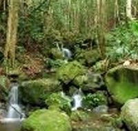 Budderoo National Park - Accommodation Perth