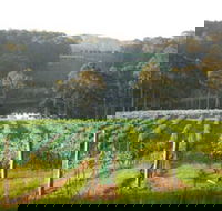 Tilba Valley Wines - Accommodation Perth