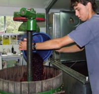 Fern Gully Winery - Accommodation Perth