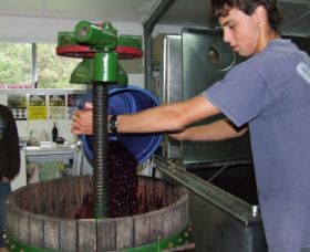 Fern Gully Winery - Accommodation Perth 0