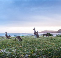 Pebbly Beach - Perth Resorts