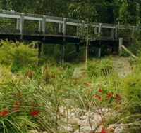 Eurobodalla Botanic Gardens - Accommodation Perth
