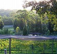Lyrebird Ridge Organic Winery - Accommodation Perth
