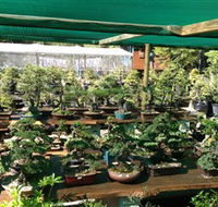 Bonsai at the Bay - Accommodation Perth