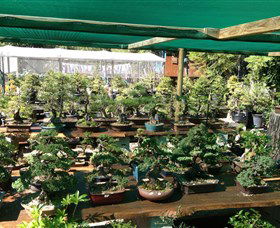 Bonsai At The Bay - Accommodation Perth 0