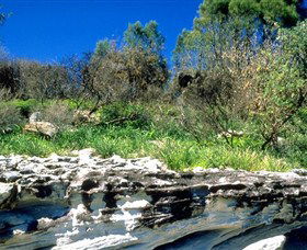 Abrahams Bosom Reserve - Accommodation Perth 0