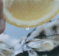 Pearly Oyster Bar and Farm - Accommodation Perth