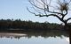 North Coast Holiday Parks Boambee Creek Reserve - thumb 0