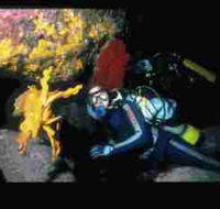 Solitary Islands Marine Park - Accommodation Perth