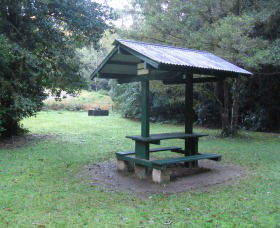 Pine Creek State Forest - Accommodation Perth 0