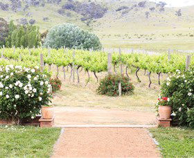 Brindabella Hills Winery - Accommodation Perth 0