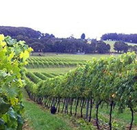 Banjo's Run Winery and Vineyard - Accommodation Perth