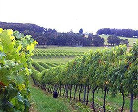Banjo's Run Winery And Vineyard - Accommodation Perth 0