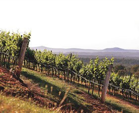 Briar Ridge Vineyard - Accommodation Perth 1