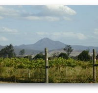 Ironbark Ridge Vineyard - Accommodation Perth