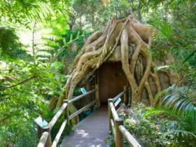 Cedar Creek Estate Vineyard And Winery - Accommodation Perth 1