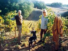 Mt Lofty Ranges Vineyard - Accommodation Perth 0