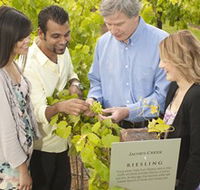 Jacob's Creek Vineyard Tour - Accommodation Perth
